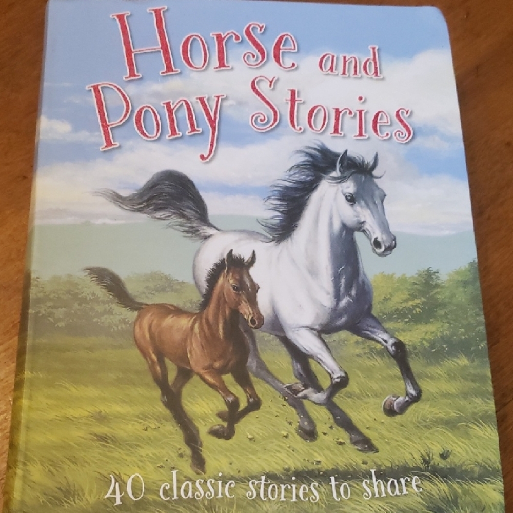 Horse and Pony Stories Book